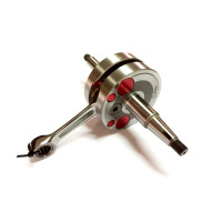 Cambota CASAL 6 velocidades moderno curso 44 mm racing - RITO